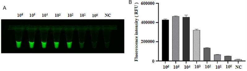 https://cdn.ncbi.nlm.nih.gov/pmc/blobs/fc53/11963519/335f8c11b5b0/12917_2025_4711_Fig5_HTML.jpg