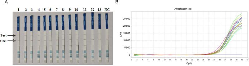 https://cdn.ncbi.nlm.nih.gov/pmc/blobs/fc53/11963519/4a500bf65d48/12917_2025_4711_Fig11_HTML.jpg