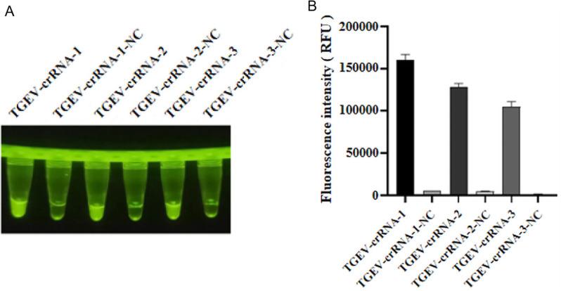 https://cdn.ncbi.nlm.nih.gov/pmc/blobs/fc53/11963519/547ea222c018/12917_2025_4711_Fig1_HTML.jpg