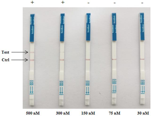 https://cdn.ncbi.nlm.nih.gov/pmc/blobs/fc53/11963519/bd8273159b6d/12917_2025_4711_Fig7_HTML.jpg