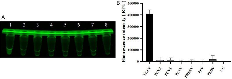 https://cdn.ncbi.nlm.nih.gov/pmc/blobs/fc53/11963519/c46356239eb5/12917_2025_4711_Fig6_HTML.jpg