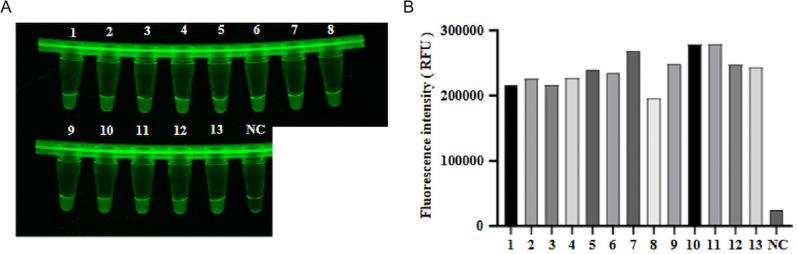 https://cdn.ncbi.nlm.nih.gov/pmc/blobs/fc53/11963519/eaaa695426b3/12917_2025_4711_Fig10_HTML.jpg