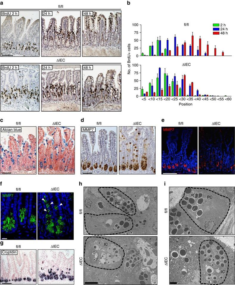 https://cdn.ncbi.nlm.nih.gov/pmc/blobs/fc54/4873670/3b26b552e6fb/ncomms11551-f2.jpg