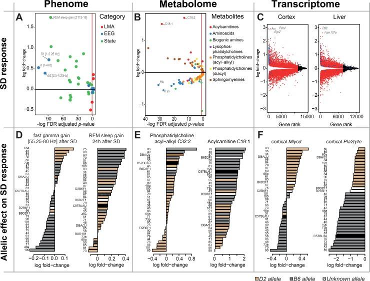 https://cdn.ncbi.nlm.nih.gov/pmc/blobs/fc57/6085075/291a6c8b746f/pbio.2005750.g004.jpg