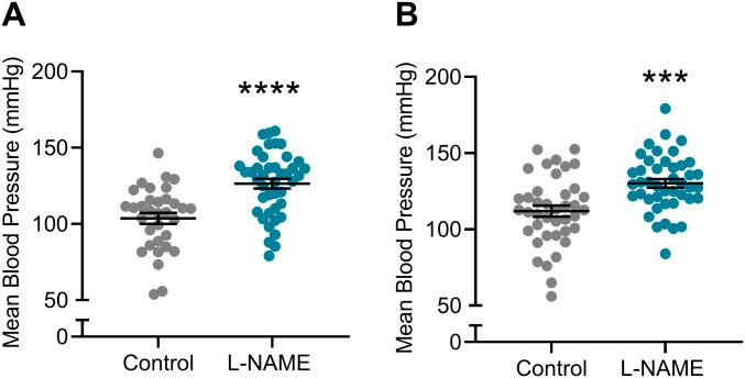 https://cdn.ncbi.nlm.nih.gov/pmc/blobs/fc59/9356384/2763519a20fa/LSA-2022-01517_Fig1.jpg