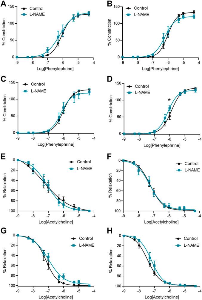 https://cdn.ncbi.nlm.nih.gov/pmc/blobs/fc59/9356384/2d7b5b171865/LSA-2022-01517_Fig8.jpg