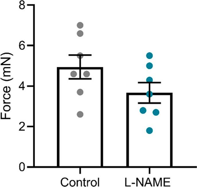 https://cdn.ncbi.nlm.nih.gov/pmc/blobs/fc59/9356384/7ae65de6941a/LSA-2022-01517_FigS6.jpg