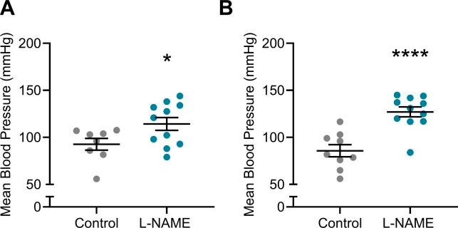 https://cdn.ncbi.nlm.nih.gov/pmc/blobs/fc59/9356384/98bd4373c720/LSA-2022-01517_FigS4.jpg