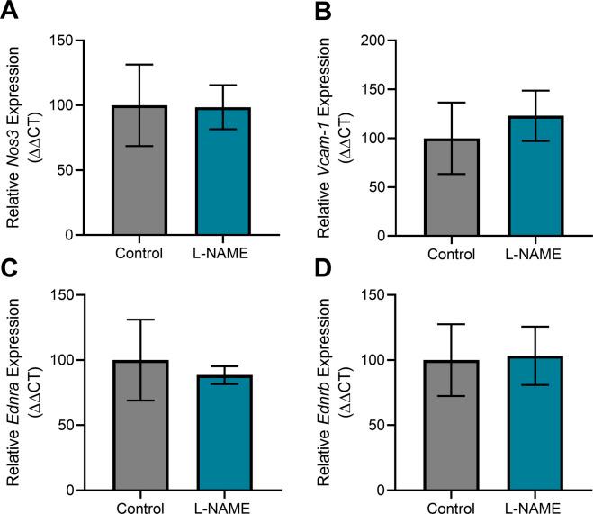 https://cdn.ncbi.nlm.nih.gov/pmc/blobs/fc59/9356384/9a3b5544e241/LSA-2022-01517_FigS7.jpg