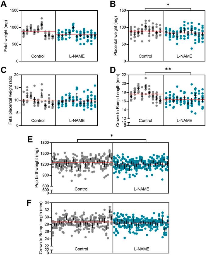 https://cdn.ncbi.nlm.nih.gov/pmc/blobs/fc59/9356384/ac1587d243da/LSA-2022-01517_Fig3.jpg