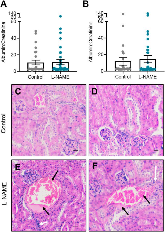 https://cdn.ncbi.nlm.nih.gov/pmc/blobs/fc59/9356384/ba7e4bdc2626/LSA-2022-01517_Fig2.jpg