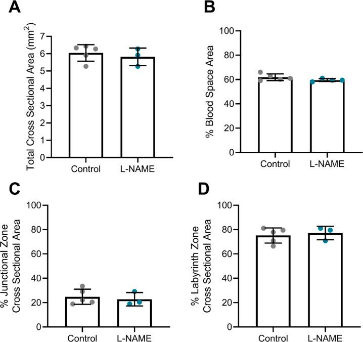 https://cdn.ncbi.nlm.nih.gov/pmc/blobs/fc59/9356384/ced7b9a47ec8/LSA-2022-01517_FigS3.jpg