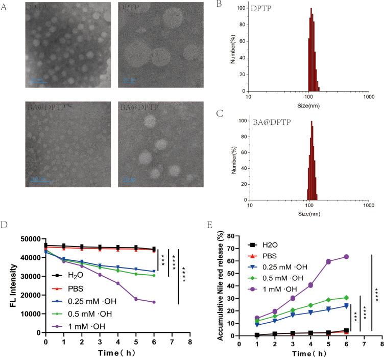 https://cdn.ncbi.nlm.nih.gov/pmc/blobs/fc5a/10929269/836534b5061b/IJN-19-2179-g0003.jpg