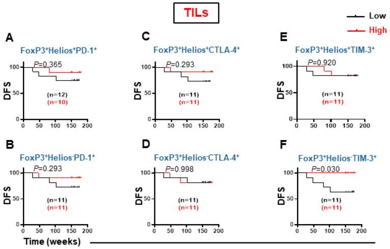 https://cdn.ncbi.nlm.nih.gov/pmc/blobs/fc5a/9265020/246167356df8/cancers-14-03194-g006.jpg