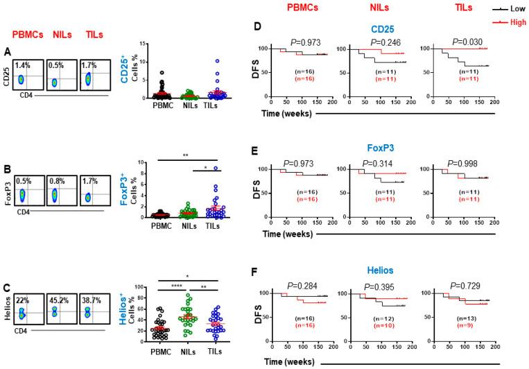 https://cdn.ncbi.nlm.nih.gov/pmc/blobs/fc5a/9265020/87c83e2dae80/cancers-14-03194-g001.jpg