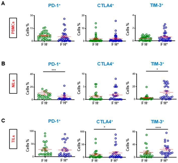 https://cdn.ncbi.nlm.nih.gov/pmc/blobs/fc5a/9265020/ce6321689935/cancers-14-03194-g004.jpg