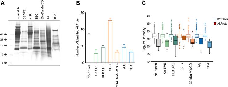https://cdn.ncbi.nlm.nih.gov/pmc/blobs/fc5a/9823216/bc11cdb2c40f/gr2.jpg