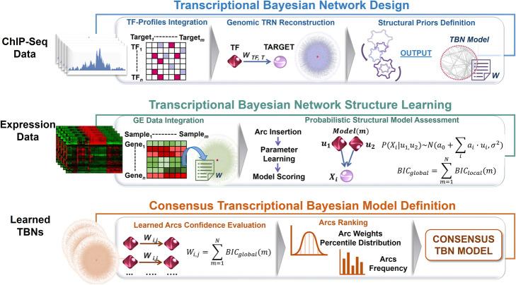https://cdn.ncbi.nlm.nih.gov/pmc/blobs/fc5b/7257163/644f0c6beefb/12859_2020_3510_Fig6_HTML.jpg