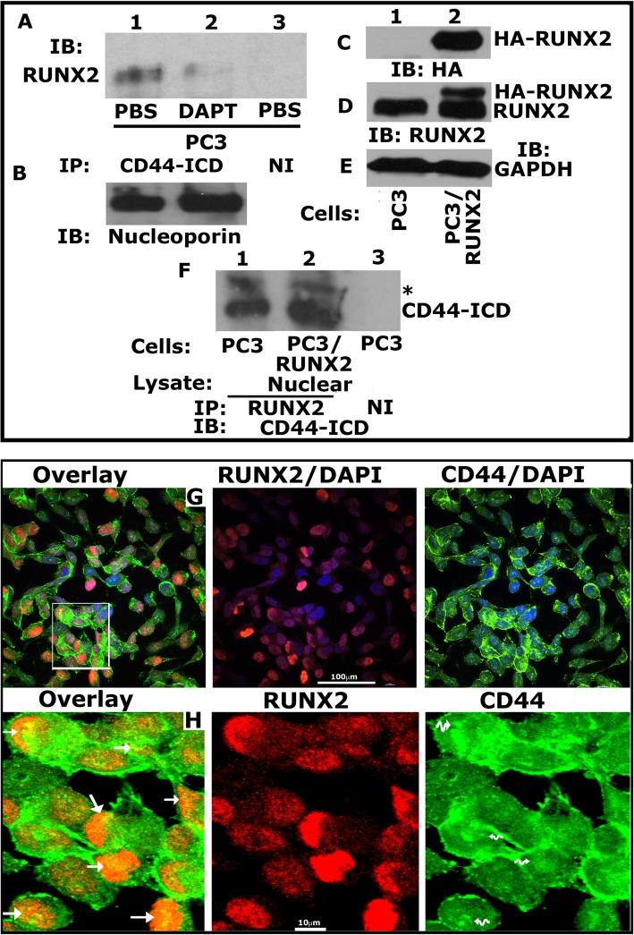 https://cdn.ncbi.nlm.nih.gov/pmc/blobs/fc5c/6647163/4f5dfa20b6d6/12964_2019_395_Fig5_HTML.jpg