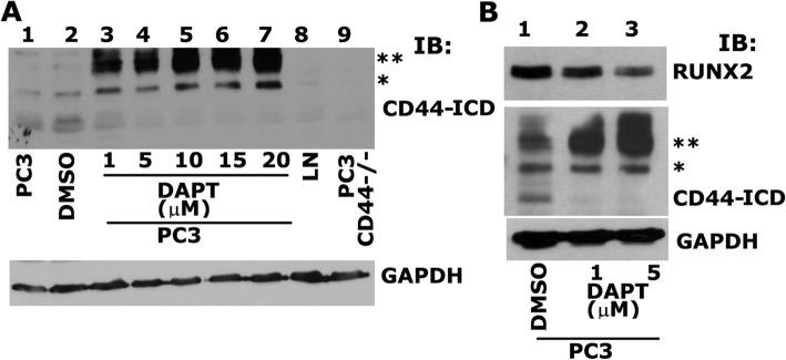 https://cdn.ncbi.nlm.nih.gov/pmc/blobs/fc5c/6647163/75da2fc2caba/12964_2019_395_Fig4_HTML.jpg
