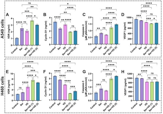 https://cdn.ncbi.nlm.nih.gov/pmc/blobs/fc5d/11541877/15d8487b129b/41598_2024_76947_Fig12_HTML.jpg