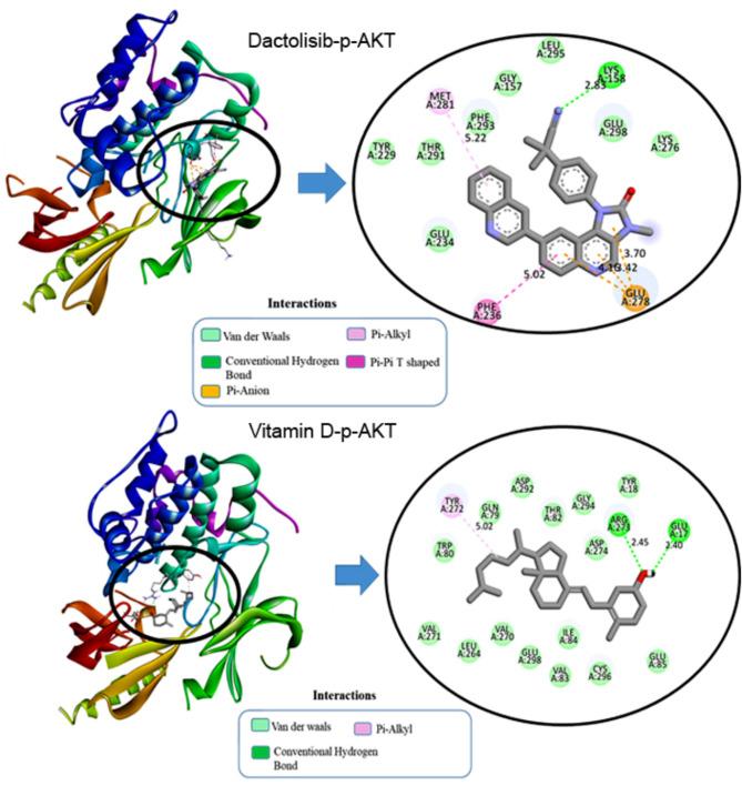 https://cdn.ncbi.nlm.nih.gov/pmc/blobs/fc5d/11541877/363f88fbacf3/41598_2024_76947_Fig3_HTML.jpg
