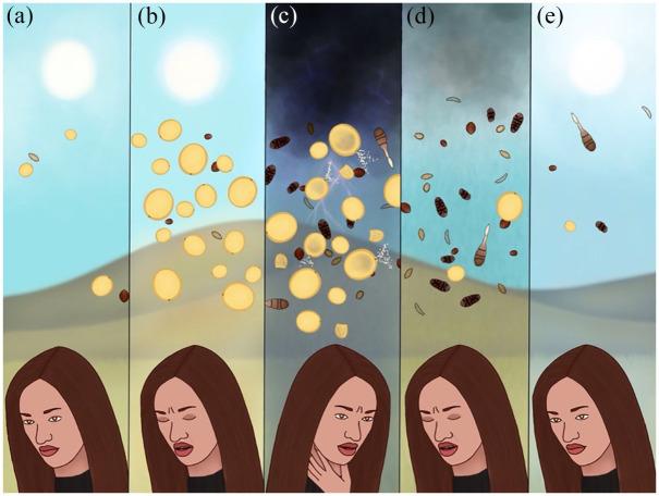 https://cdn.ncbi.nlm.nih.gov/pmc/blobs/fc5e/9134402/fbc28a40a132/10.1177_17534666221099733-fig3.jpg