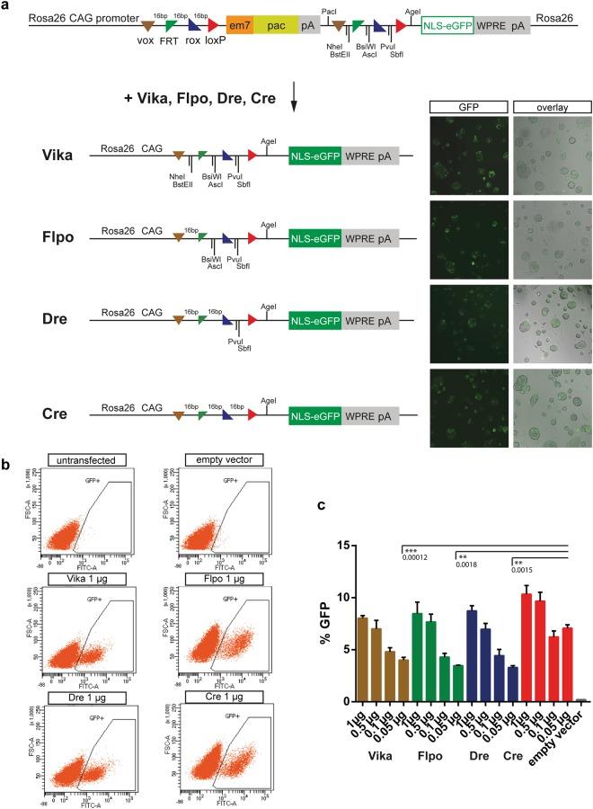 https://cdn.ncbi.nlm.nih.gov/pmc/blobs/fc5f/6160450/3086fc0acc3b/41598_2018_32802_Fig2_HTML.jpg