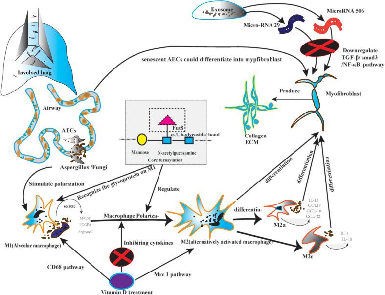 https://cdn.ncbi.nlm.nih.gov/pmc/blobs/fc5f/9904240/aa77093cde04/fimmu-14-1032355-g002.jpg