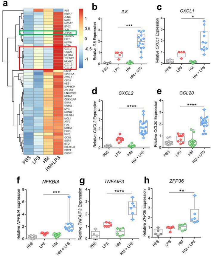 https://cdn.ncbi.nlm.nih.gov/pmc/blobs/fc60/11167050/0c285f693d6d/41598_2024_64000_Fig2_HTML.jpg