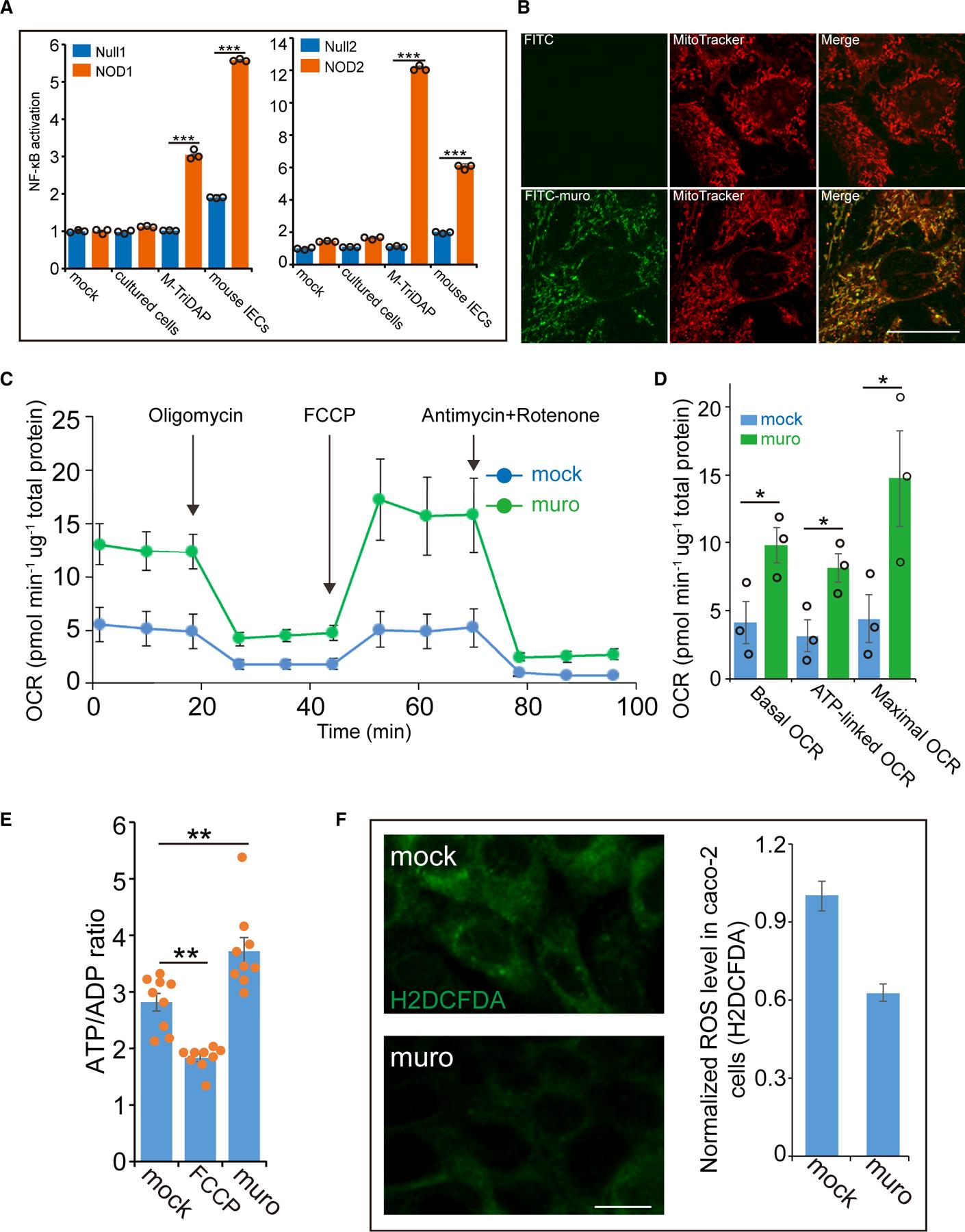 https://cdn.ncbi.nlm.nih.gov/pmc/blobs/fc61/11107371/a0011304365d/nihms-1988709-f0002.jpg