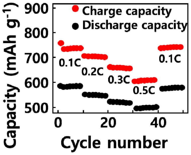 https://cdn.ncbi.nlm.nih.gov/pmc/blobs/fc61/11174013/b62cb9c41ce2/molecules-29-02578-g006.jpg