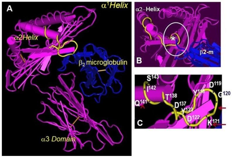 https://cdn.ncbi.nlm.nih.gov/pmc/blobs/fc63/11276036/05b4a350cd77/cimb-46-00416-g001.jpg
