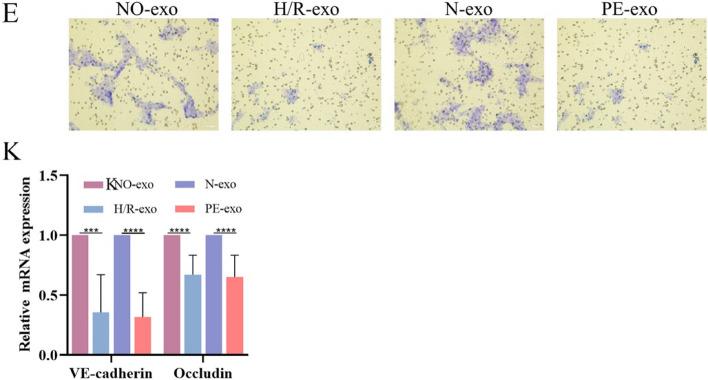 https://cdn.ncbi.nlm.nih.gov/pmc/blobs/fc65/11157864/268a3ba452ba/12964_2024_1697_Fig1_HTML.jpg