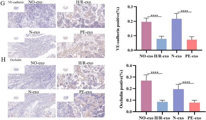 https://cdn.ncbi.nlm.nih.gov/pmc/blobs/fc65/11157864/fb4d626be08c/12964_2024_1697_Fig3_HTML.jpg