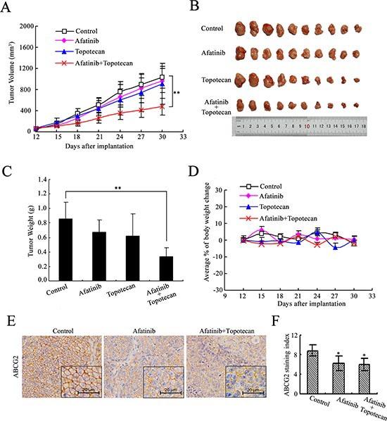 https://cdn.ncbi.nlm.nih.gov/pmc/blobs/fc68/4322967/9fff518574e0/oncotarget-05-11971-g002.jpg