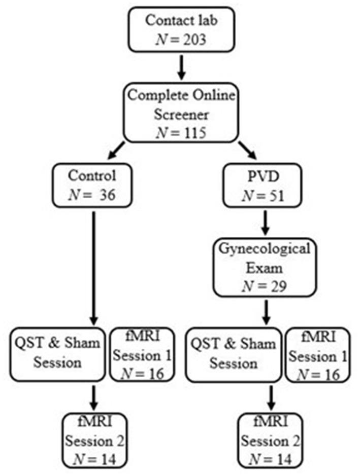 https://cdn.ncbi.nlm.nih.gov/pmc/blobs/fc69/8915748/bd1add6d7762/fpain-02-682483-g0001.jpg