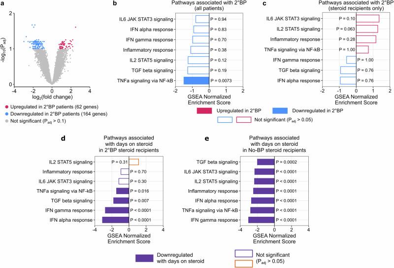 https://cdn.ncbi.nlm.nih.gov/pmc/blobs/fc6c/11522429/065b39c18b38/41467_2024_53566_Fig6_HTML.jpg