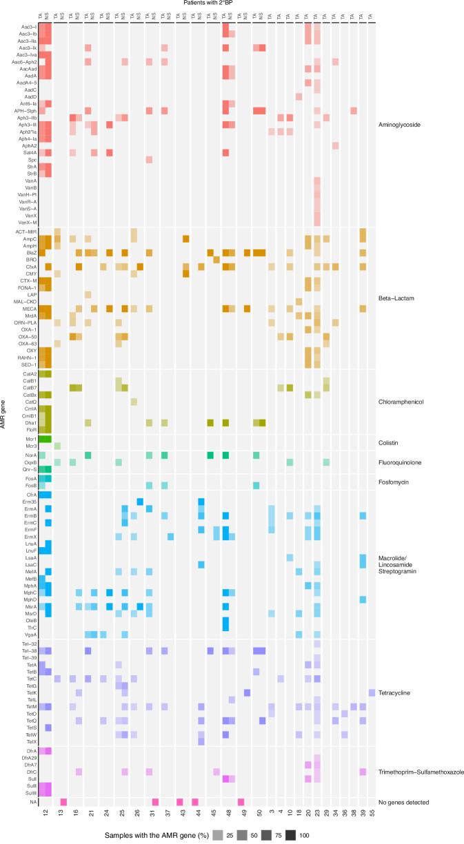 https://cdn.ncbi.nlm.nih.gov/pmc/blobs/fc6c/11522429/6287bdf1f97f/41467_2024_53566_Fig5_HTML.jpg