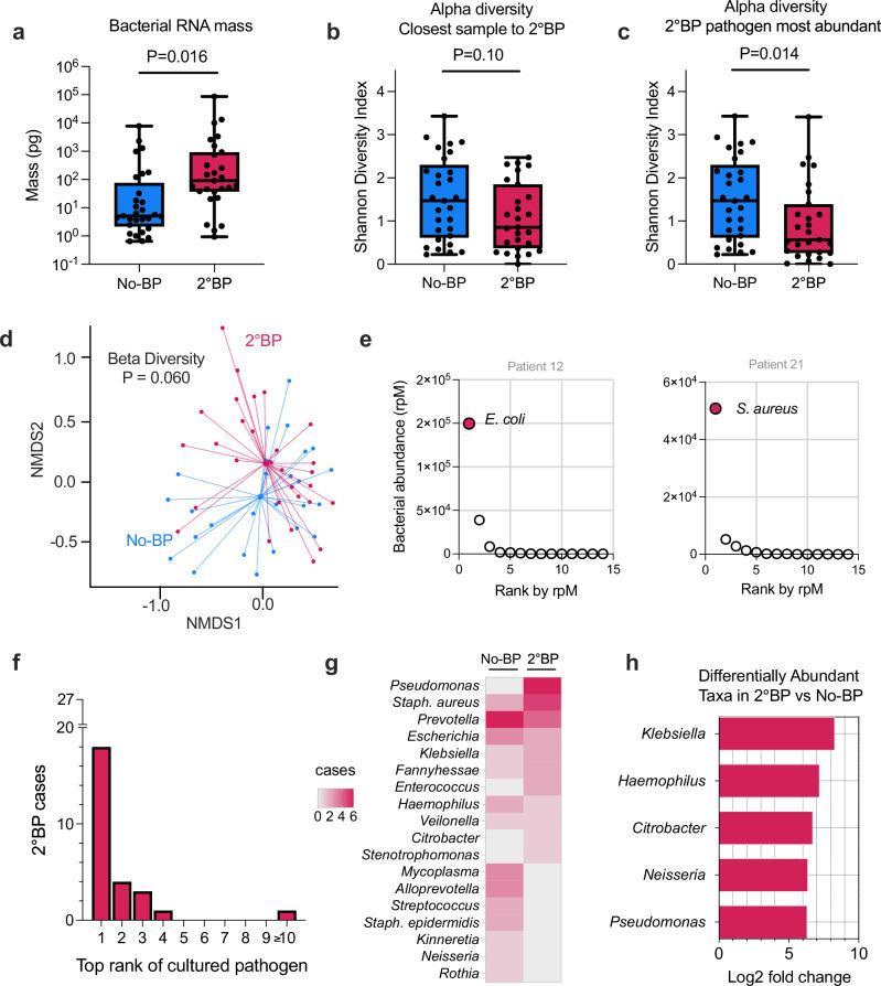 https://cdn.ncbi.nlm.nih.gov/pmc/blobs/fc6c/11522429/fc948f039936/41467_2024_53566_Fig2_HTML.jpg