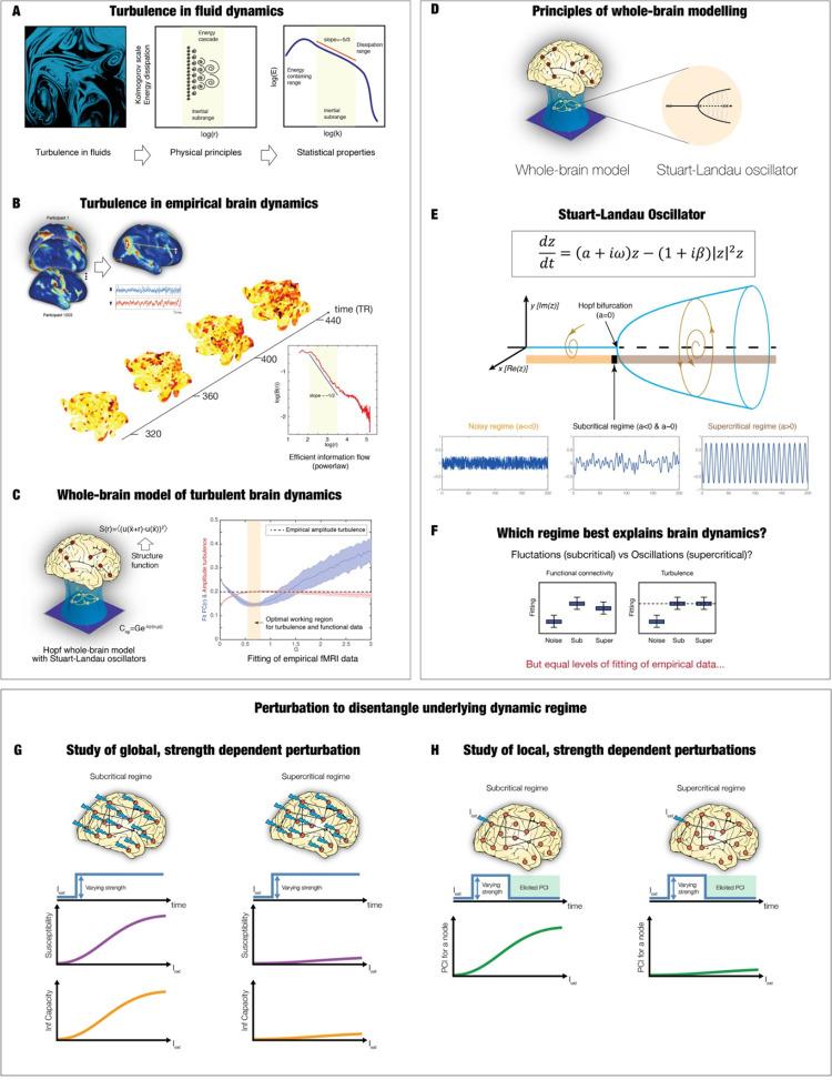 https://cdn.ncbi.nlm.nih.gov/pmc/blobs/fc6c/9629648/d7f4374ecf4f/pcbi.1010662.g001.jpg