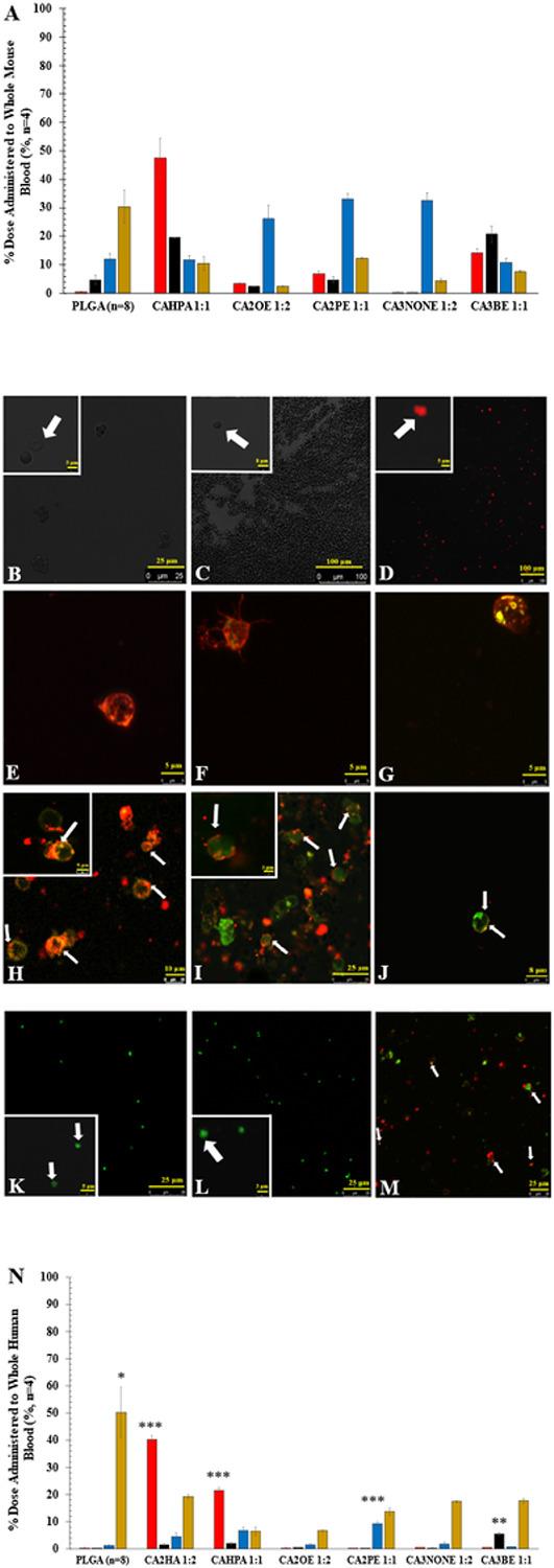 https://cdn.ncbi.nlm.nih.gov/pmc/blobs/fc6f/10371090/cee831735003/nihpp-rs3146716v1-f0002.jpg