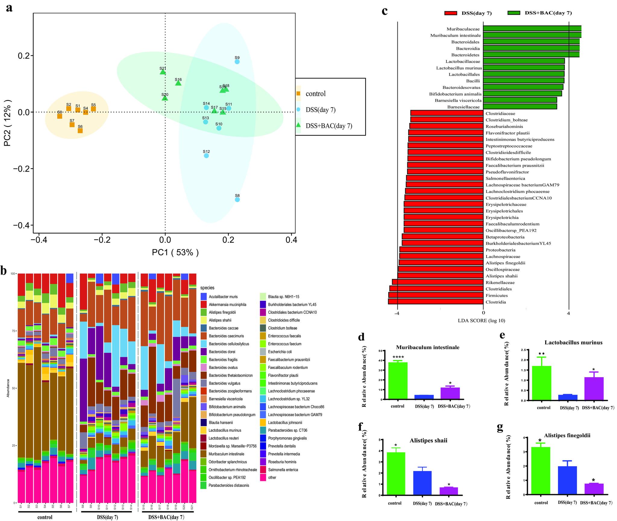 https://cdn.ncbi.nlm.nih.gov/pmc/blobs/fc70/10101101/e0f690955e0c/spectrum.03330-22-f005.jpg