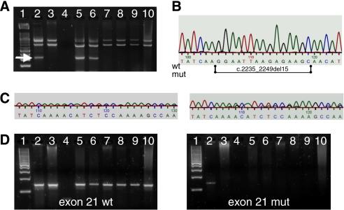https://cdn.ncbi.nlm.nih.gov/pmc/blobs/fc73/2453031/fea912fe8ff1/6604430f1.jpg