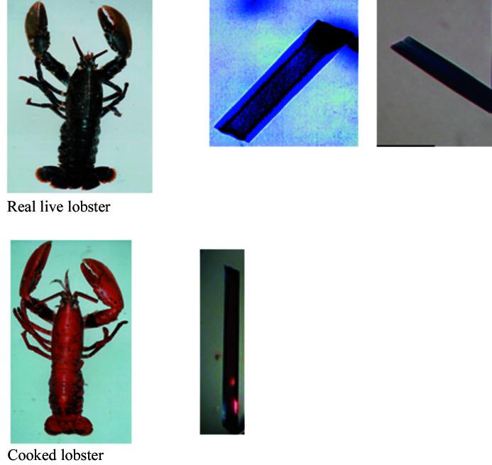 https://cdn.ncbi.nlm.nih.gov/pmc/blobs/fc74/8127390/901af1c63f99/a-77-00173-fig5.jpg