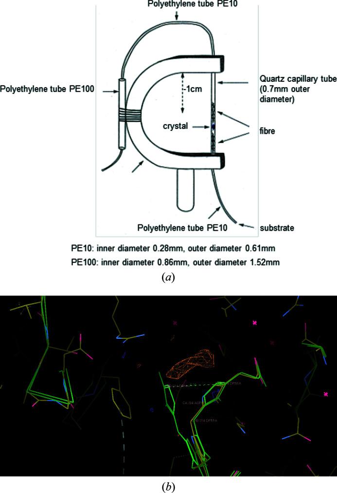 https://cdn.ncbi.nlm.nih.gov/pmc/blobs/fc74/8127390/d9bb68534603/a-77-00173-fig4.jpg
