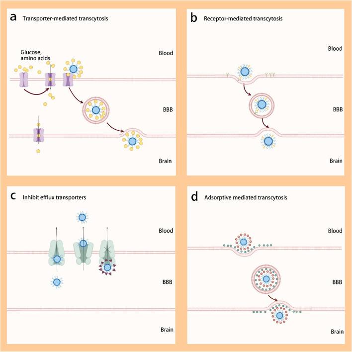 https://cdn.ncbi.nlm.nih.gov/pmc/blobs/fc76/11960228/27bbf3b732b2/42494_2024_171_Fig1_HTML.jpg