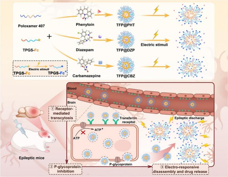 https://cdn.ncbi.nlm.nih.gov/pmc/blobs/fc76/11960228/d0f65c6ccd61/42494_2024_171_Fig3_HTML.jpg