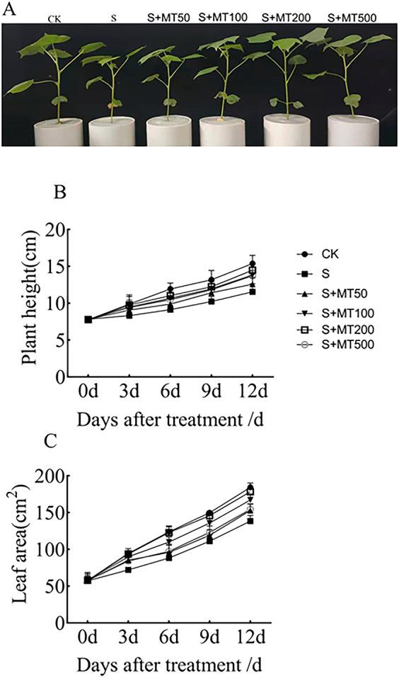 https://cdn.ncbi.nlm.nih.gov/pmc/blobs/fc77/7735075/49441e69e577/peerj-08-10486-g001.jpg