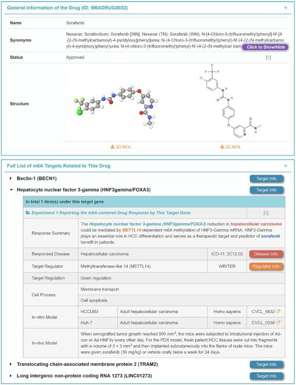 https://cdn.ncbi.nlm.nih.gov/pmc/blobs/fc78/9825441/1e62aa1c147d/gkac801fig6.jpg
